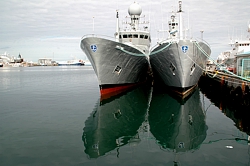 Hafenruhe: Wenig Betrieb in Reykjavik